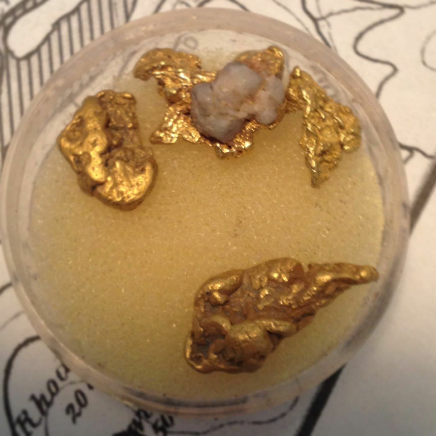 2 Lb. Rich Gold Paydirt Concentrates Unsearched – Pay Streak Prospecting
